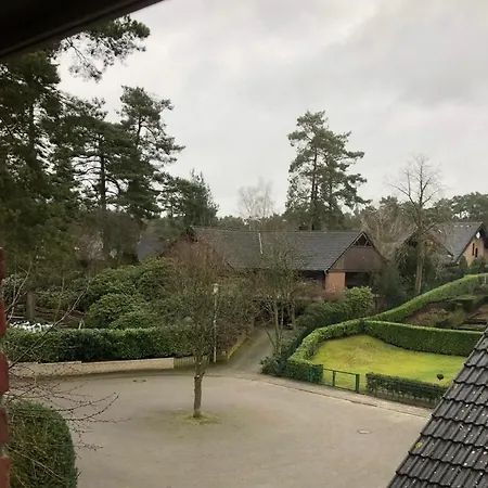 Langohr Lingen
